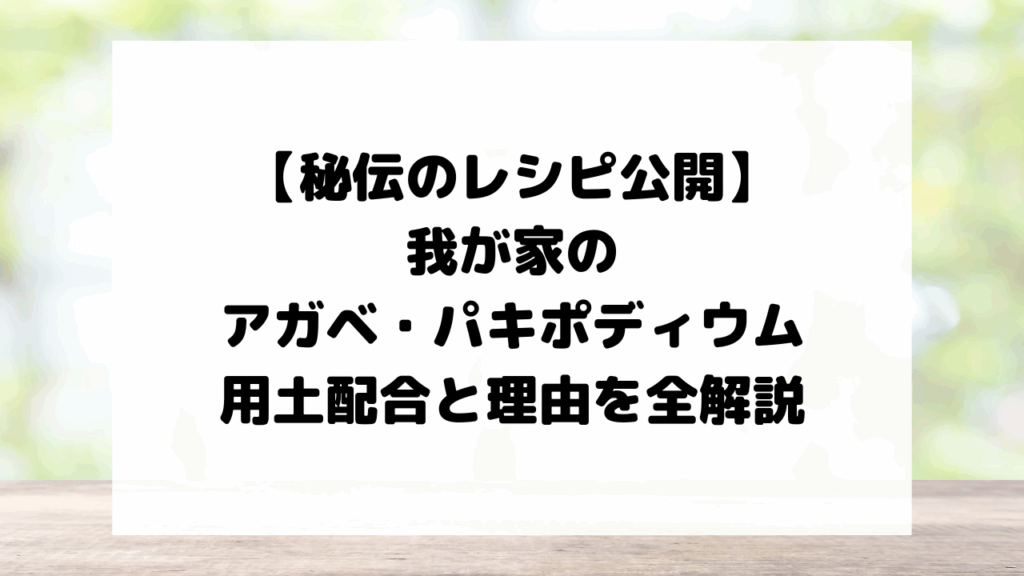 【秘伝のレシピ公開】我が家のアガベ・パキポディウム用土、配合と理由を全解説