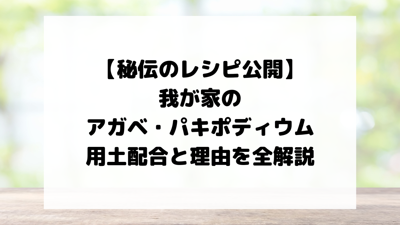 【秘伝のレシピ公開】我が家のアガベ・パキポディウム用土、配合と理由を全解説
