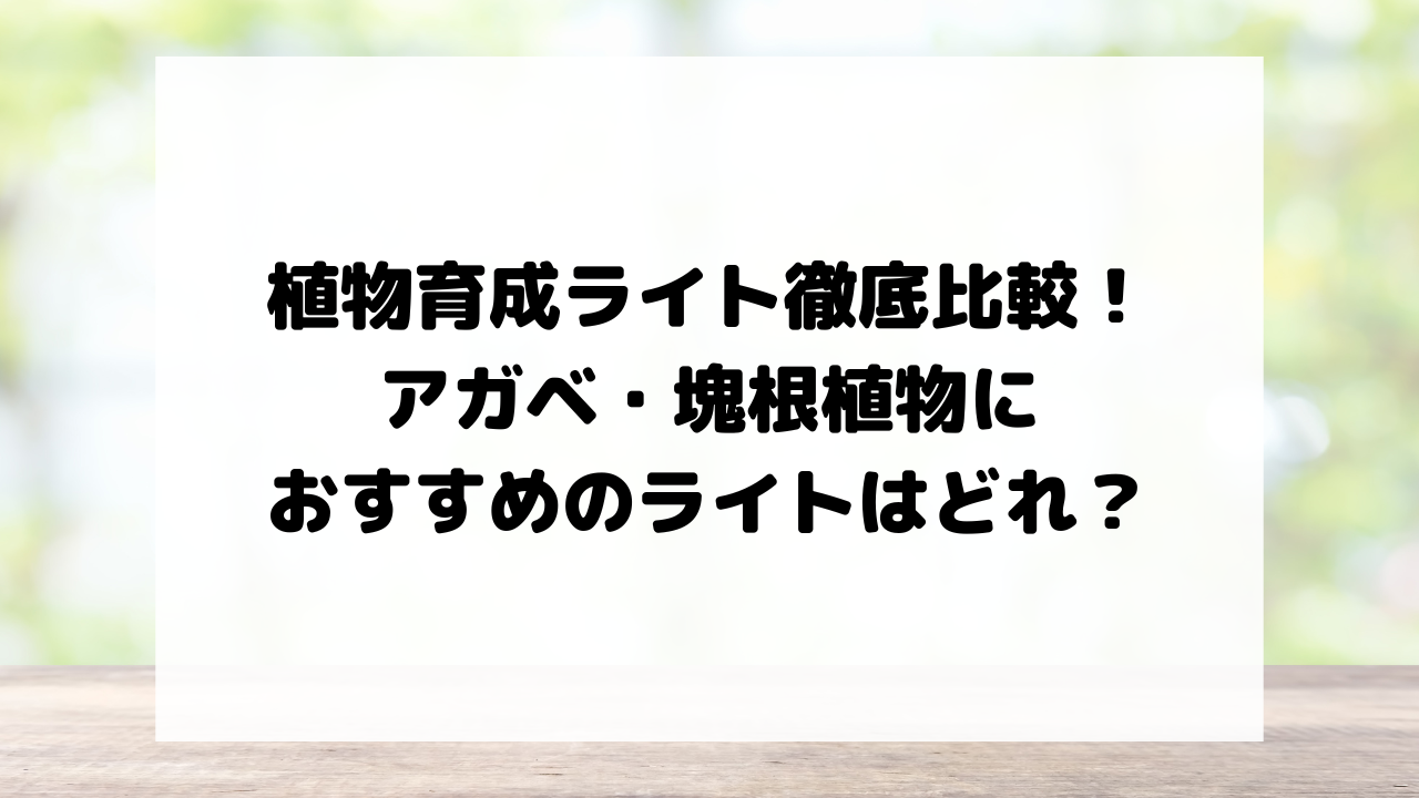 植物育成ライト徹底比較！アガベ・塊根植物におすすめのライトはどれ？