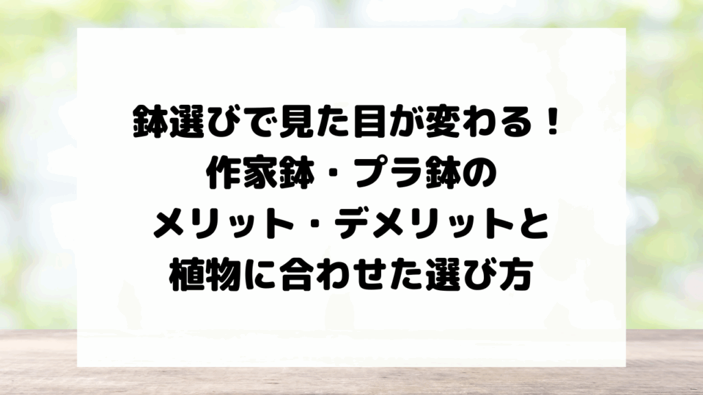 鉢選びで見た目が変わる！作家鉢・プラ鉢のメリット・デメリットと植物に合わせた選び方