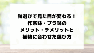 鉢選びで見た目が変わる！作家鉢・プラ鉢のメリット・デメリットと植物に合わせた選び方