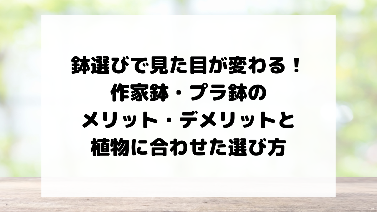 鉢選びで見た目が変わる！作家鉢・プラ鉢のメリット・デメリットと植物に合わせた選び方