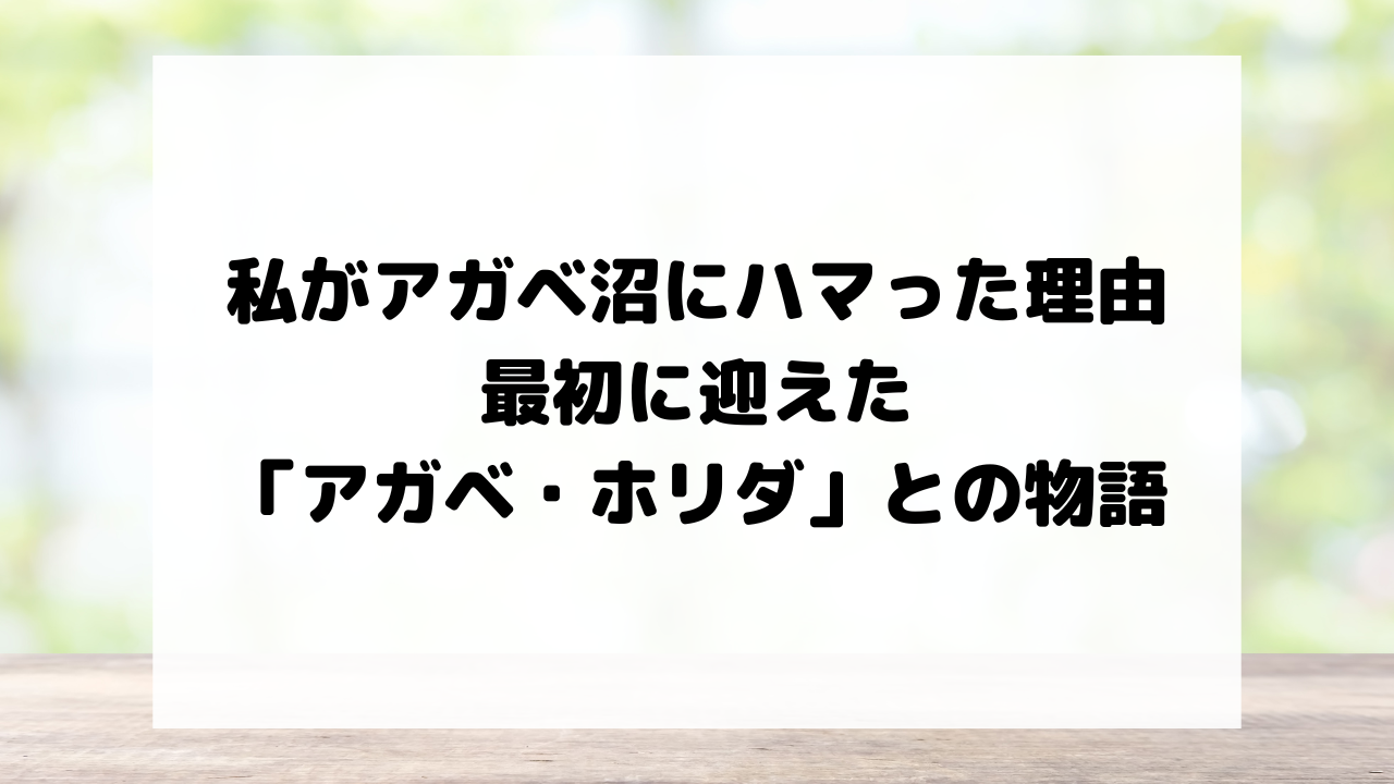 私がアガベ沼にハマった理由と、最初に迎えた「アガベ・ホリダ」との物語