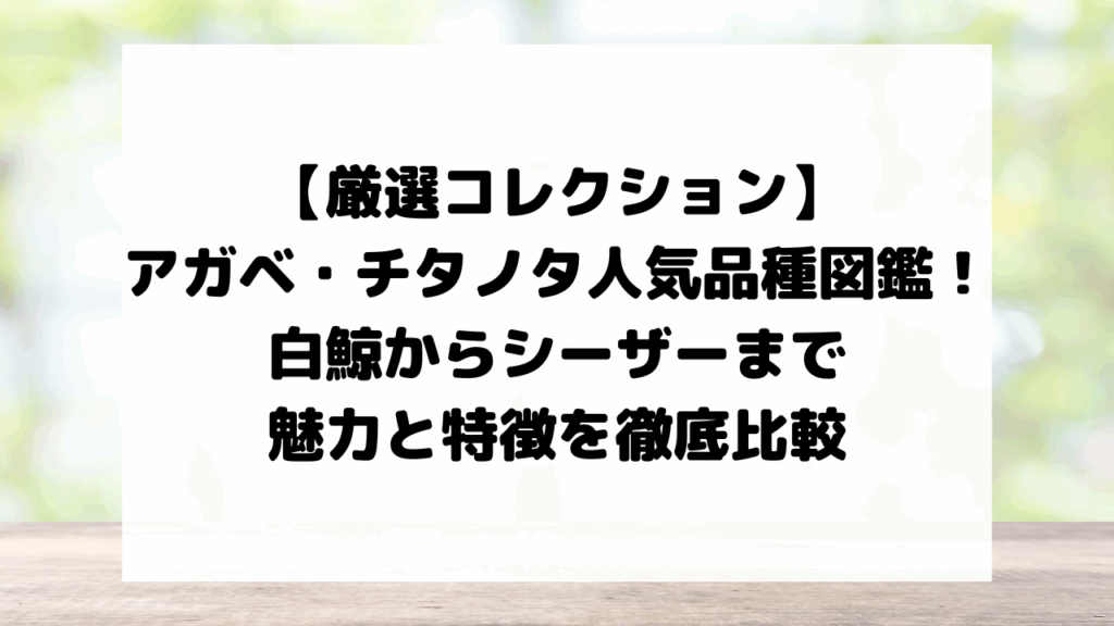 【厳選コレクション】アガベ・チタノタ人気品種図鑑！白鯨からシーザーまで魅力と特徴を徹底比較