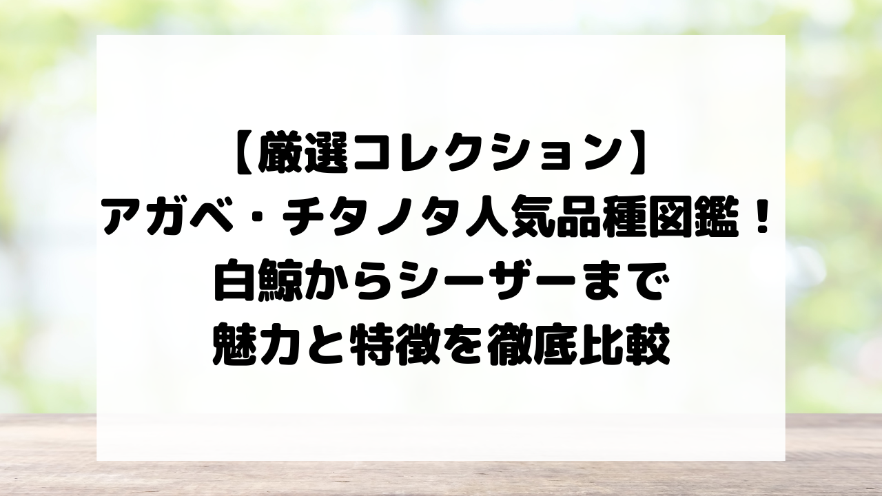 【厳選コレクション】アガベ・チタノタ人気品種図鑑！白鯨からシーザーまで魅力と特徴を徹底比較