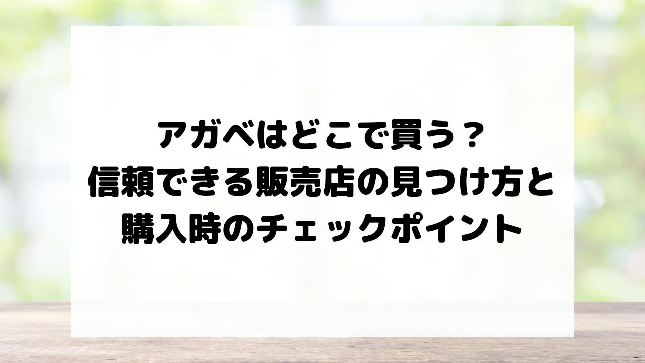 アガベはどこで買う？信頼できる販売店の見つけ方と購入時のチェックポイント