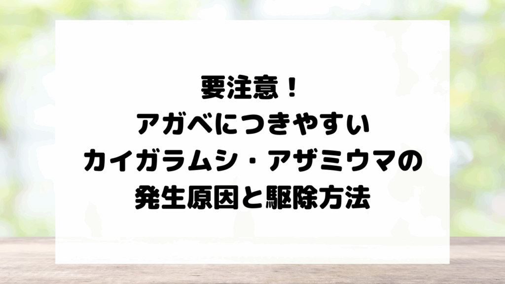 要注意！アガベにつきやすいカイガラムシ・アザミウマの発生原因と駆除方法