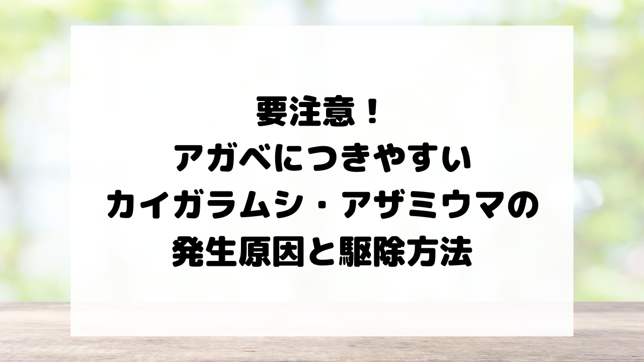 要注意!アガベにつきやすいカイガラムシ・アザミウマの発生原因と駆除方法