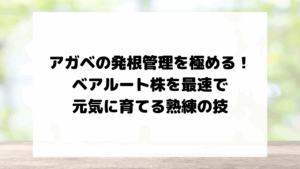 アガベの発根管理を極める！ベアルート株を最速で元気に育てる熟練の技