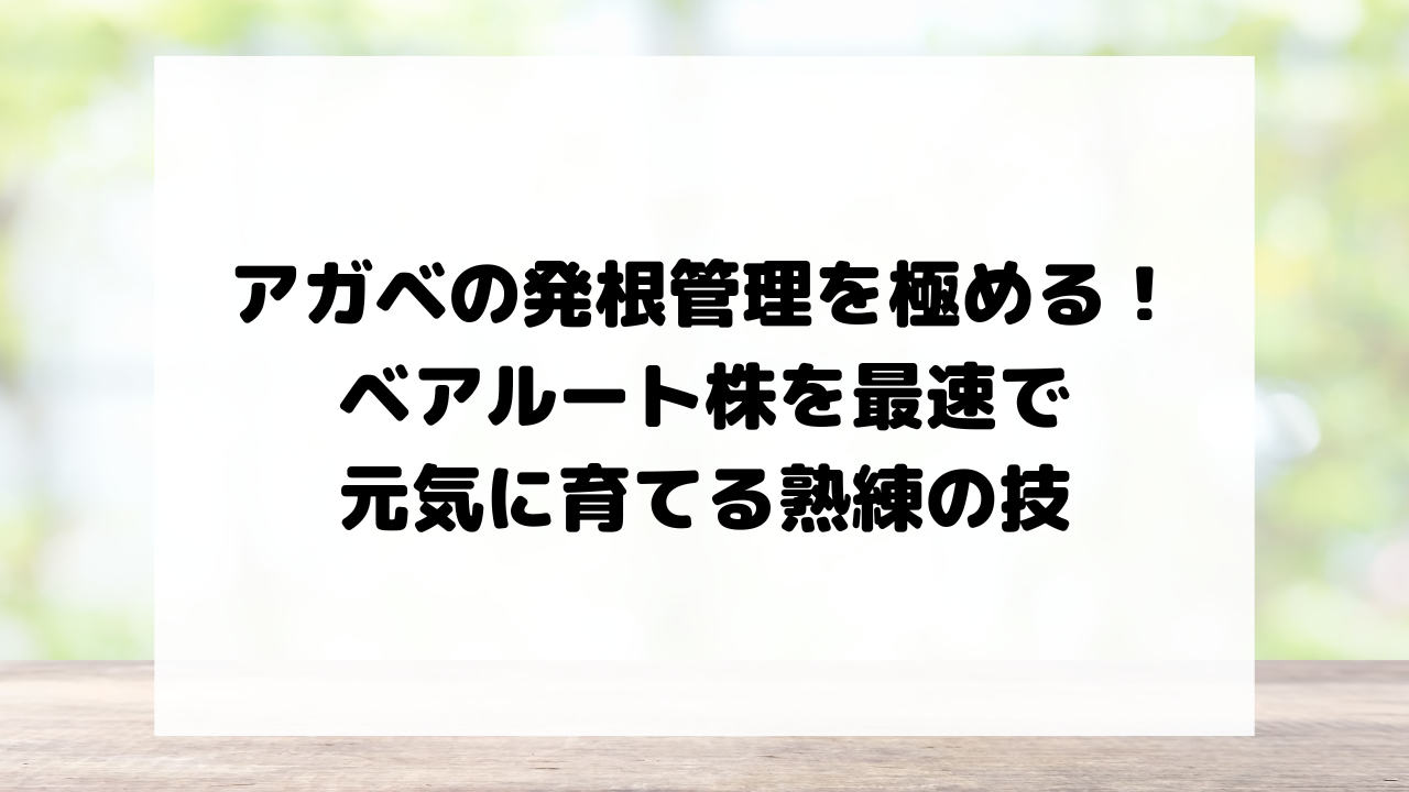 アガベの発根管理を極める！ベアルート株を最速で元気に育てる熟練の技