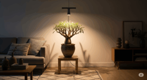 おしゃれなリビングの観葉植物が、天井から吊るされたスポットライト型の植物育成ライトに照らされている。インテリア性を損なわない、デザイン性の高いライトの魅力を伝えている。