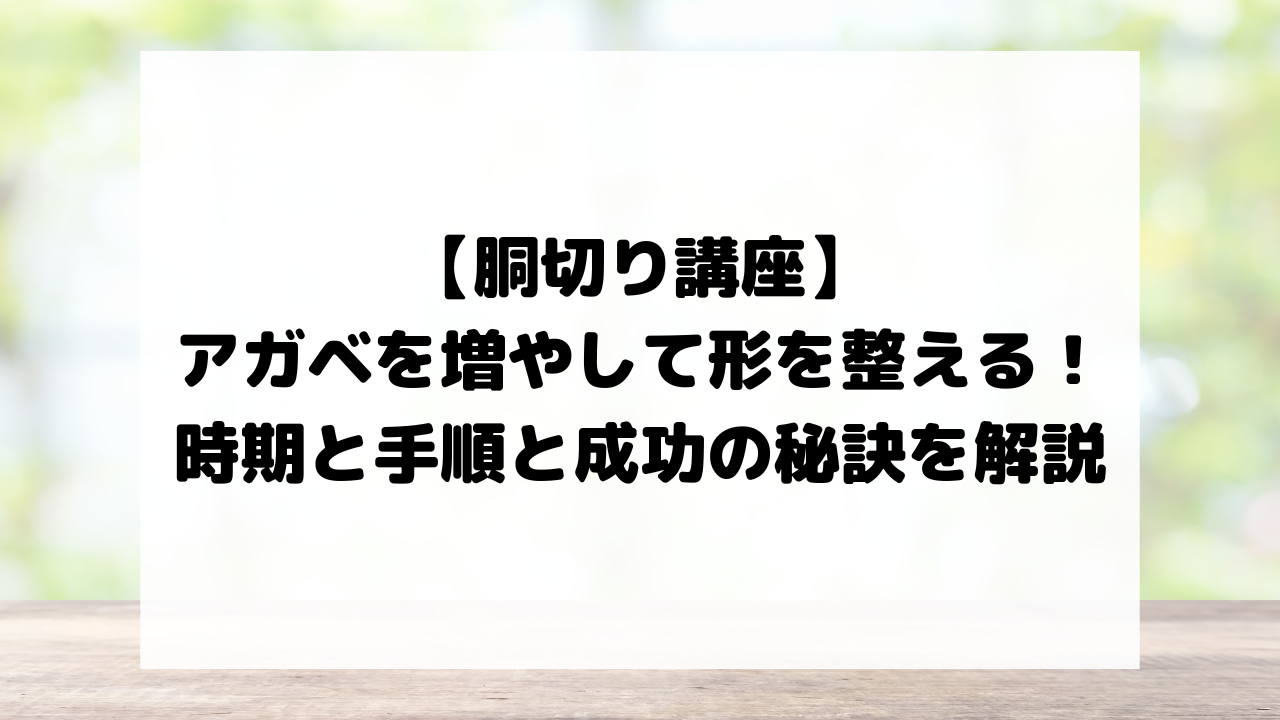 【胴切り講座】アガベを増やして形を整える！時期と手順と成功の秘訣を解説