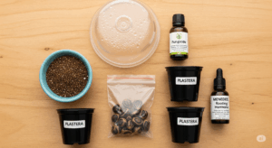 パキポディウムの実生に必要な道具一式。種子、鉢、用土、殺菌剤、発根促進剤などが綺麗に並べられており、種まきを始める前の準備の重要性を示している。