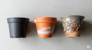 黒いプラスチック鉢、素焼きのテラコッタ鉢、個性的な日本の作家鉢の3種類を並べて比較した写真。それぞれの素材が持つ質感やデザイン、機能性の違いがひと目で分かる。