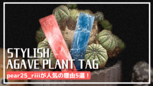 【プランツタグ アガベ】pear25_riiiが人気の理由5選！おしゃれでオーダーもできる？