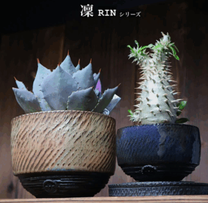 夢風組の凛シリーズの陶器の植木鉢が２つ並んでいる