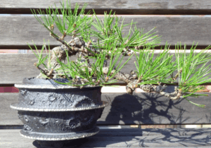 夢風組のおしゃれな撮影場所