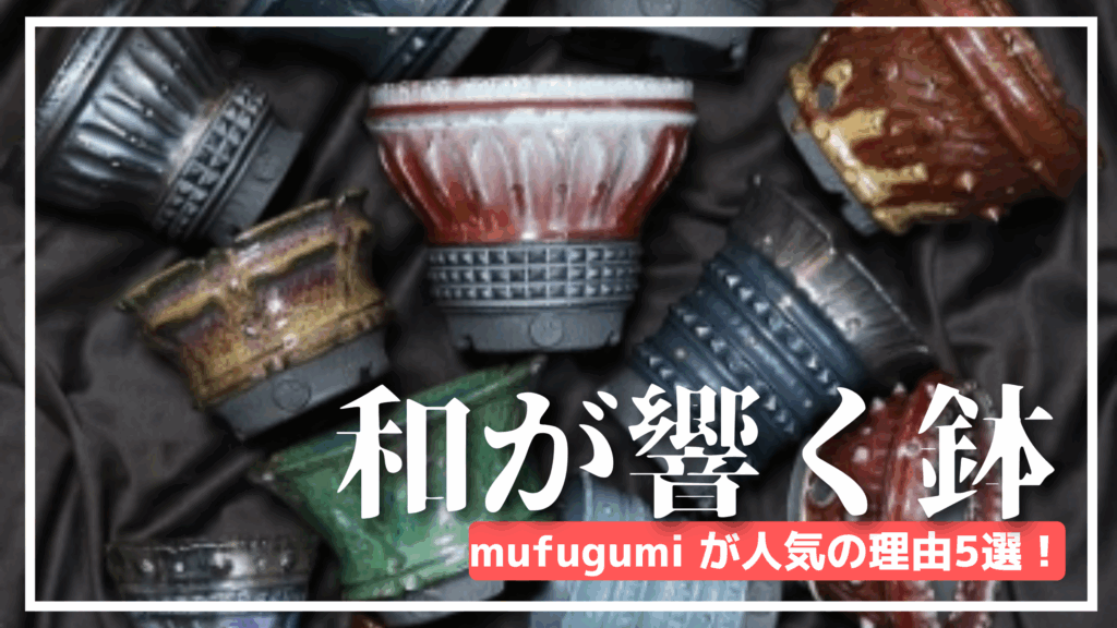 【アガベ陶器鉢】夢風組の植木鉢や盆栽鉢の製作への情熱！世界的評価の陶芸とは？