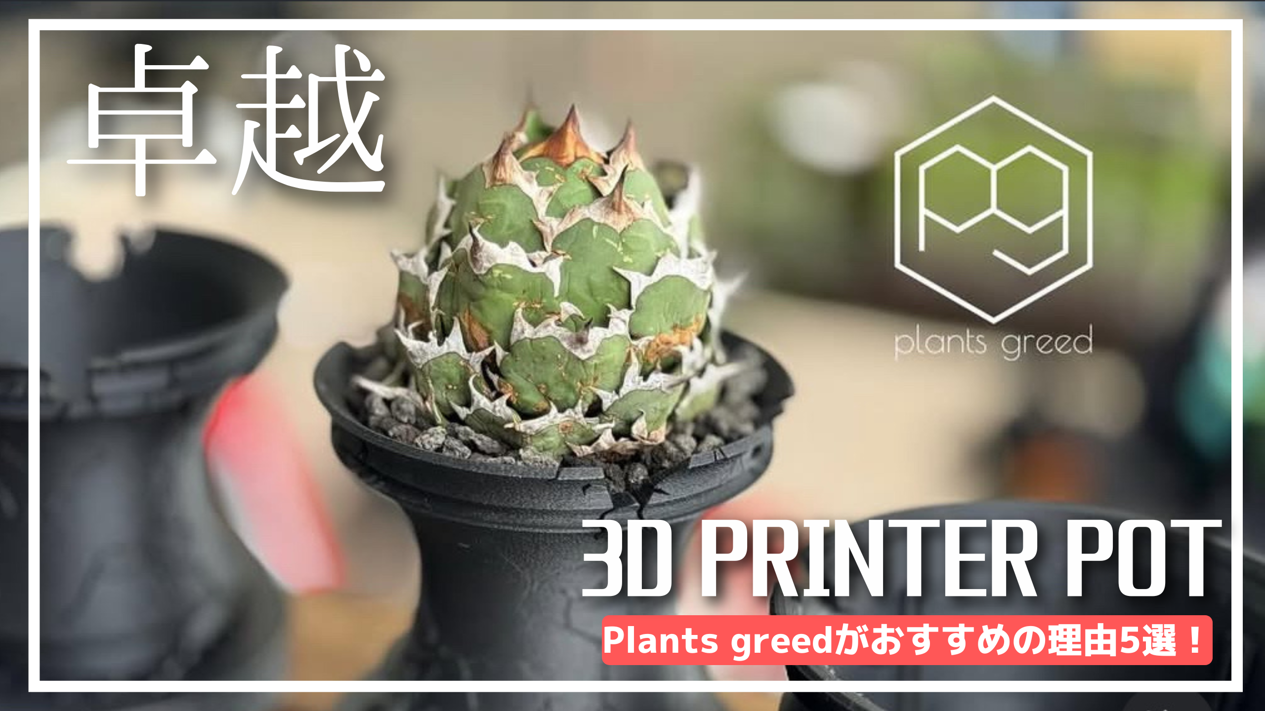 【3Dプリンター鉢 アガベ】plantsgreedがおすすめの理由5選！作り方やフィラメントがすごい！