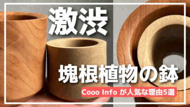 cooo_infoの鉢を徹底レビュー！塊根植物の魅力を引き出すデザインと機能性