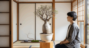 静かな部屋で、長い年月をかけて育て上げられたであろう見事なオペルクリカリア・パキプスを、落ち着いた様子の日本人が静かに眺めている。植物と人が共に時間を刻む「一生モノのパートナー」というコンセプトを象徴する写真。