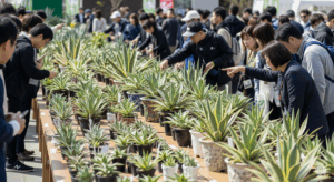 活気あふれる日本の植物イベントの様子。長テーブルにずらりと並べられた多種多様なアガベを、大勢の来場者が熱心に見て回っている。お気に入りの一株を探す楽しさと、購入場所の選択肢の広がりを象徴する一枚。