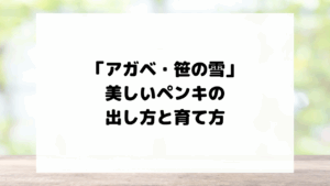 「アガベ・笹の雪」の美しいペンキの出し方と育て方