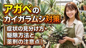 アガベのカイガラムシ対策｜症状の見分け方・駆除方法と薬剤の注意点