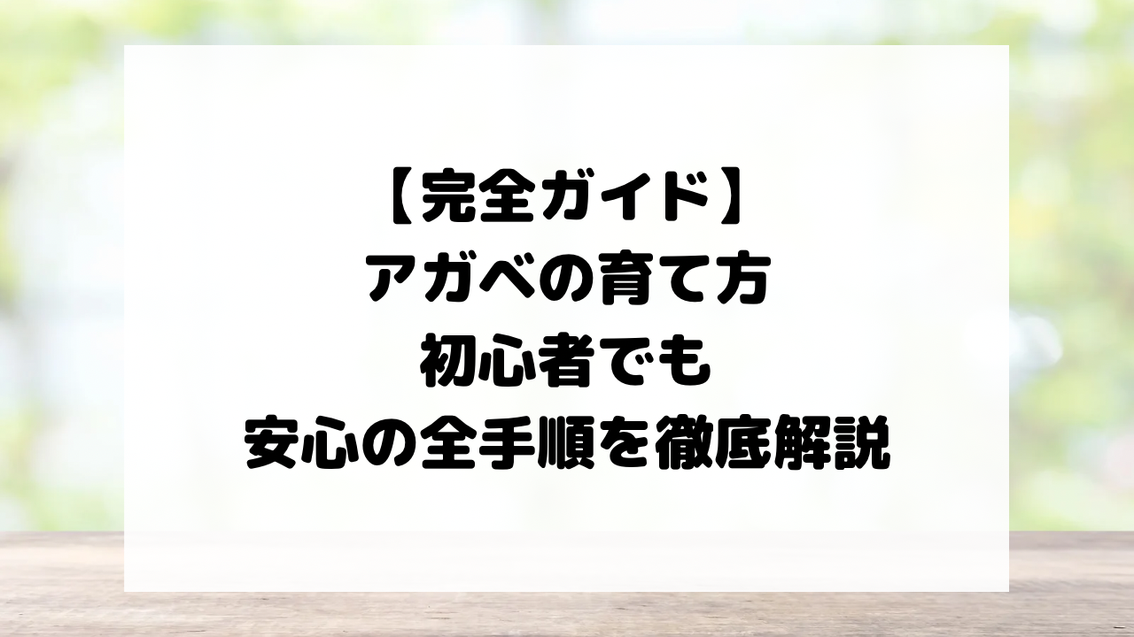 【完全ガイド】アガベの育て方｜初心者でも安心の全手順を徹底解説
