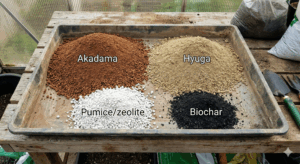 塊根植物 土 配合 レシピ 黄金比 赤玉土 日向土 ゼオライト 燻炭
