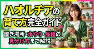 ハオルチアの育て方完全ガイド｜置き場所・水やり・品種の見分け方まで解説