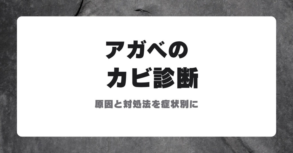 アガベのカビ診断のアイキャッチ
