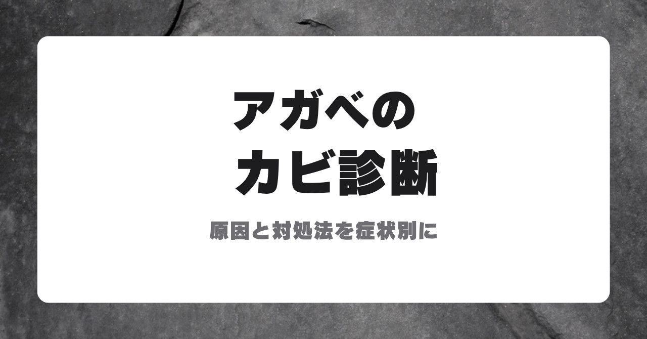 アガベのカビ診断のアイキャッチ